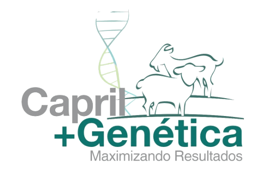 Capril + Genética